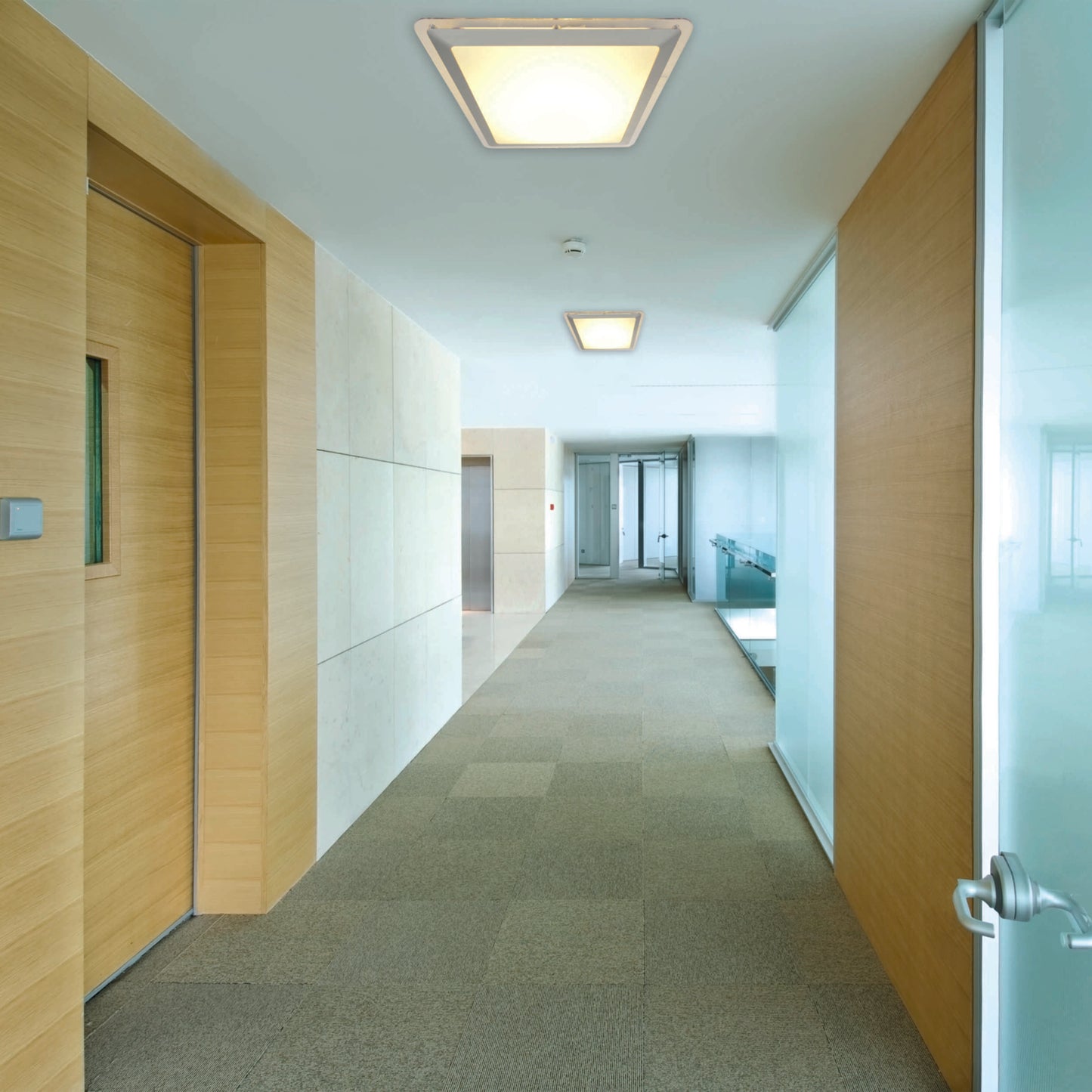LED Deckenleuchte "BRADFORT" L/B: 33,5cm
