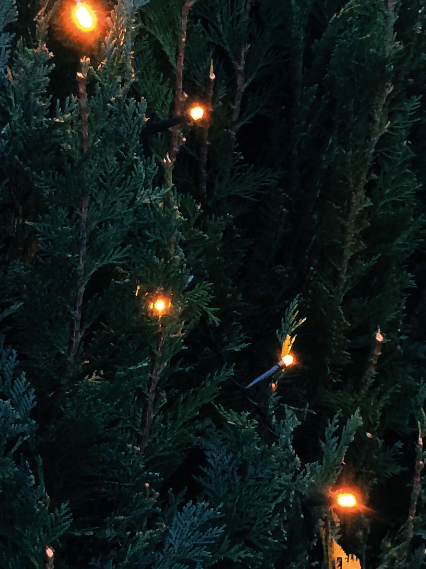 LED-Lichterkette