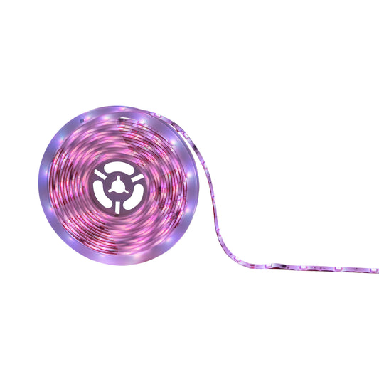 Digitaler Indoor LED / RGB Stripe 5m