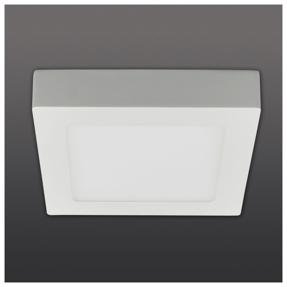 LED Deckenleuchte "SIMPLEX" s:17cm
