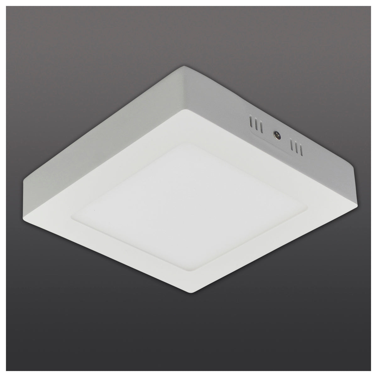 LED Deckenleuchte "SIMPLEX" s:17cm