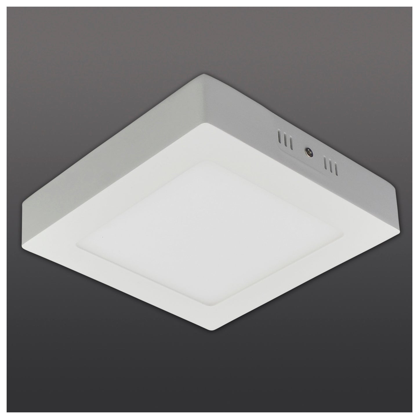 LED Deckenleuchte "SIMPLEX" s:17cm
