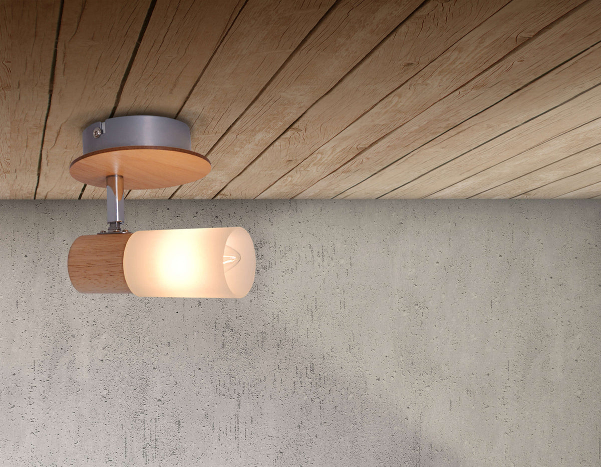 1er Wand-/Deckenspot "TODTNAU"