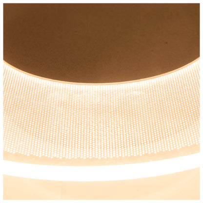 LED Deckenleuchte "MODESTO" d: 29cm
