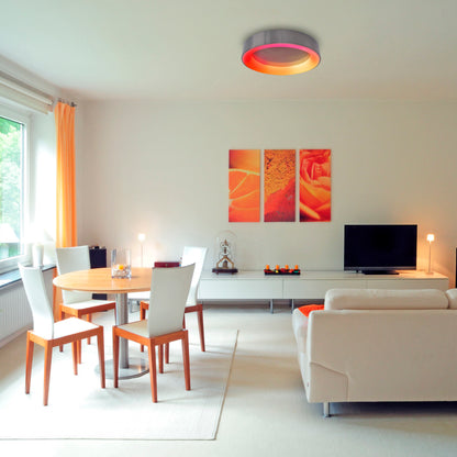 LED / CCT / RGB Deckenleuchte "MULTO" Ø: 46,5cm