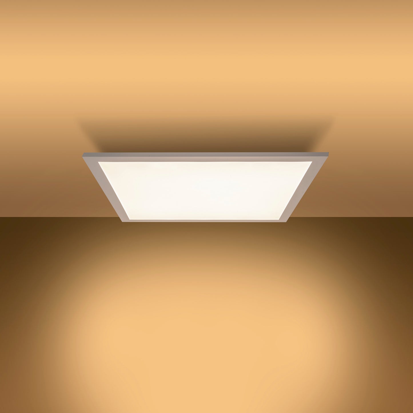 LED / CCT Panel-Deckenleuchte "NICO" L/B: 59,5cm