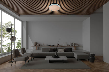 Deckenleuchten - LED / CCT Deckenleuchte "LOLA" Ø: 50cm / weiß/braun, Deckenlampe im Modern Style, aus Metall und Kunststoff in weiß, 9 cm hoch, Ø 50 cm, inkl. LED  dimmbar  CCT-Wechsler  Nachtlichtfunktion  Fernbedienung