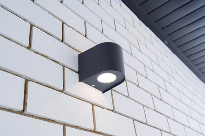 LED Außen-/Wandleuchte  "ALECTO"