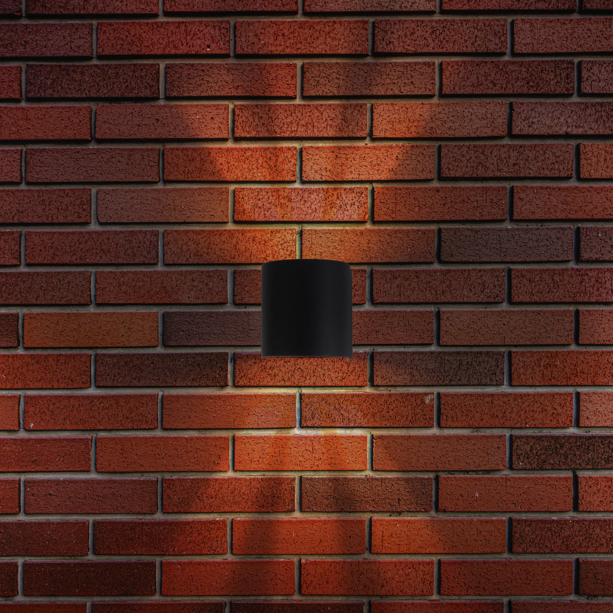 LED Außen-/Wandleuchte  "ALECTO"