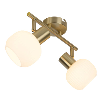 2er Spot Wand-/Deckenleuchte "LEARTA" L: 25cm