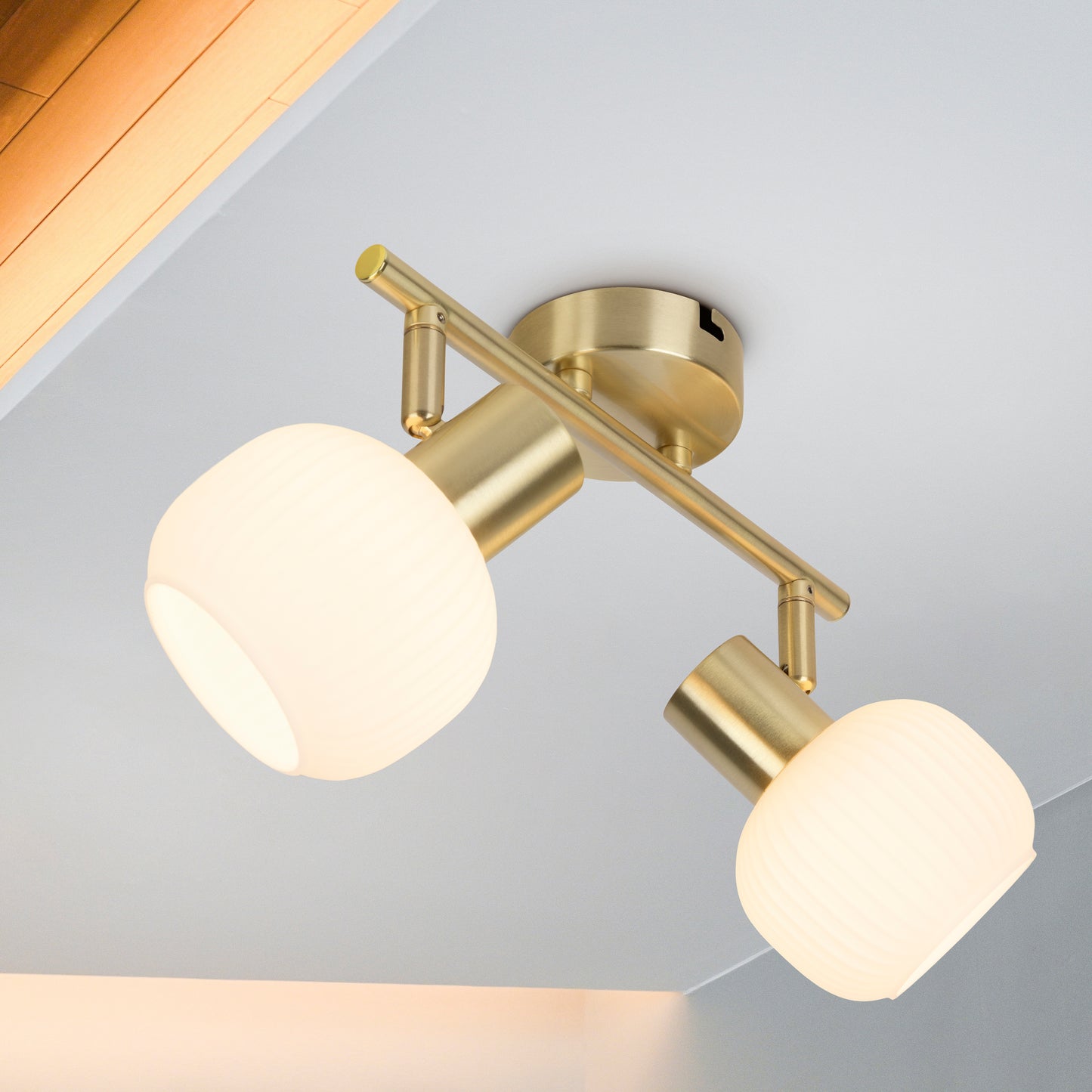 2er Spot Wand-/Deckenleuchte "LEARTA" L: 25cm