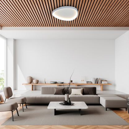 LED / CCT Deckenleuchte "ARGESA" Inkl. Meteor-Licht L/B: 60,5cm
