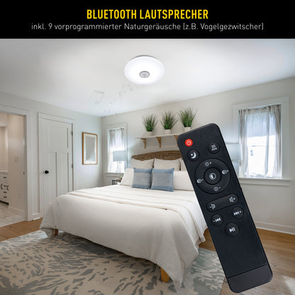 LED / CCT Deckenleuchte "NORDERNEY" inkl. Naturgeräuschen Ø: 38cm