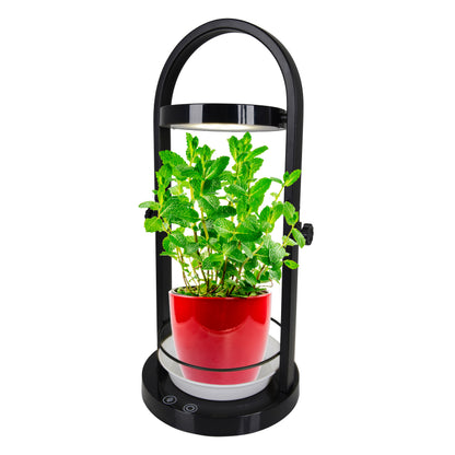Tischleuchten - LED Pflanzen-Tischleuchte h:53,5cm "PLANTY", Tischlampe im Functional Style, aus Metall und Kunststoff in schwarz, 53,5 cm hoch, Ø 18,2 cm, inkl. LED  Berührungssensor