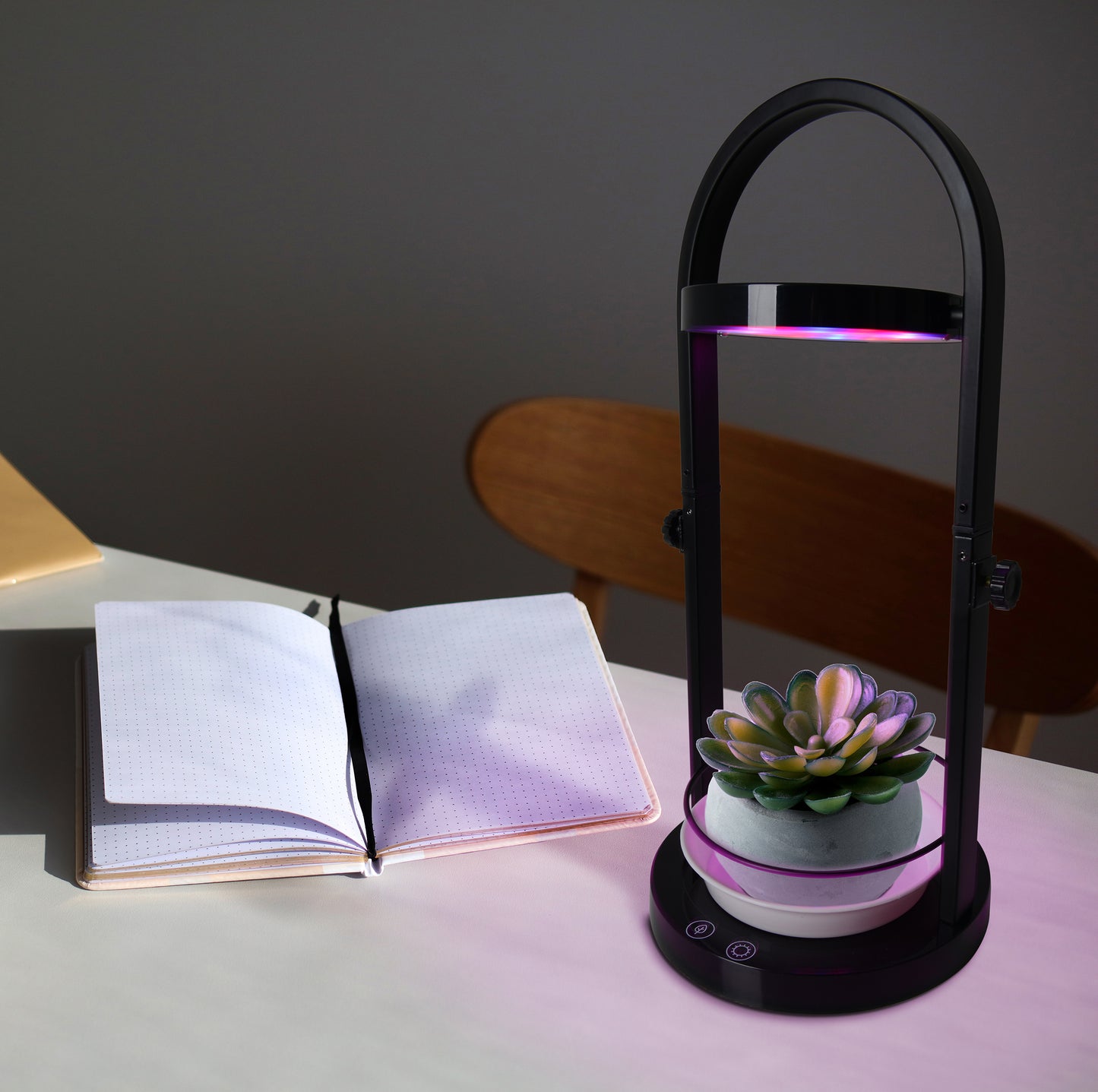 Tischleuchten - LED Pflanzen-Tischleuchte h:53,5cm "PLANTY", Tischlampe im Functional Style, aus Metall und Kunststoff in schwarz, 53,5 cm hoch, Ø 18,2 cm, inkl. LED  Berührungssensor