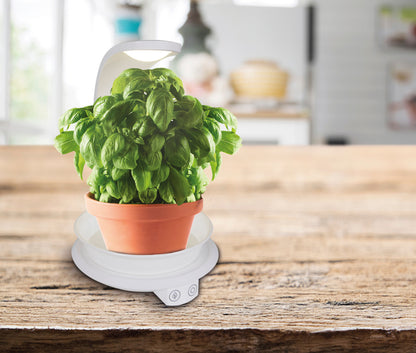 Tischleuchten - LED Pflanzen-Tischleuchte h:24cm "PLANTY", Tischlampe im Functional Style, ausMetall und Kunststoff in weiß, 24 cm hoch, Maße 19 x 15,5 cm, inkl. LED  Berührungssensor  USB