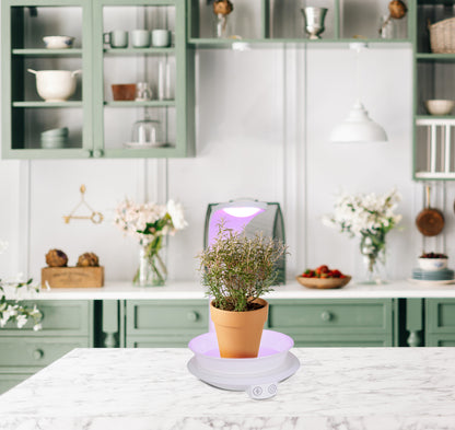 Tischleuchten - LED Pflanzen-Tischleuchte h:24cm "PLANTY", Tischlampe im Functional Style, ausMetall und Kunststoff in weiß, 24 cm hoch, Maße 19 x 15,5 cm, inkl. LED  Berührungssensor  USB