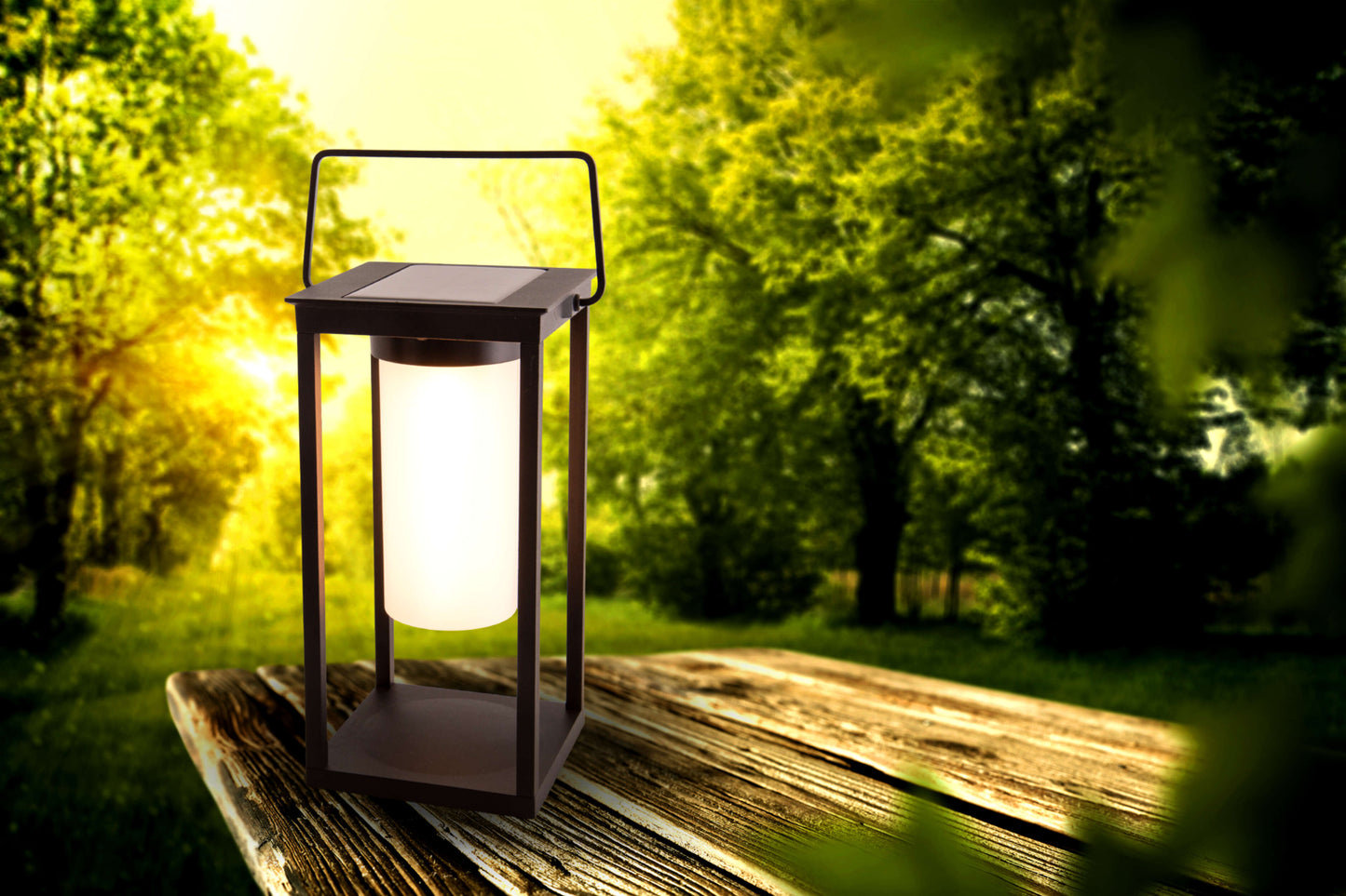 LED Solarlaterne "JILU" H: 28cm