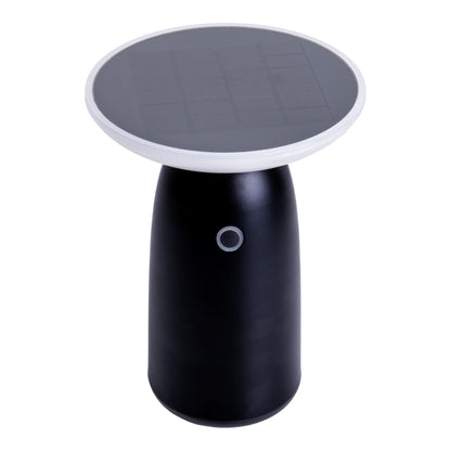 LED Solarleuchte "ADA" schwarz
