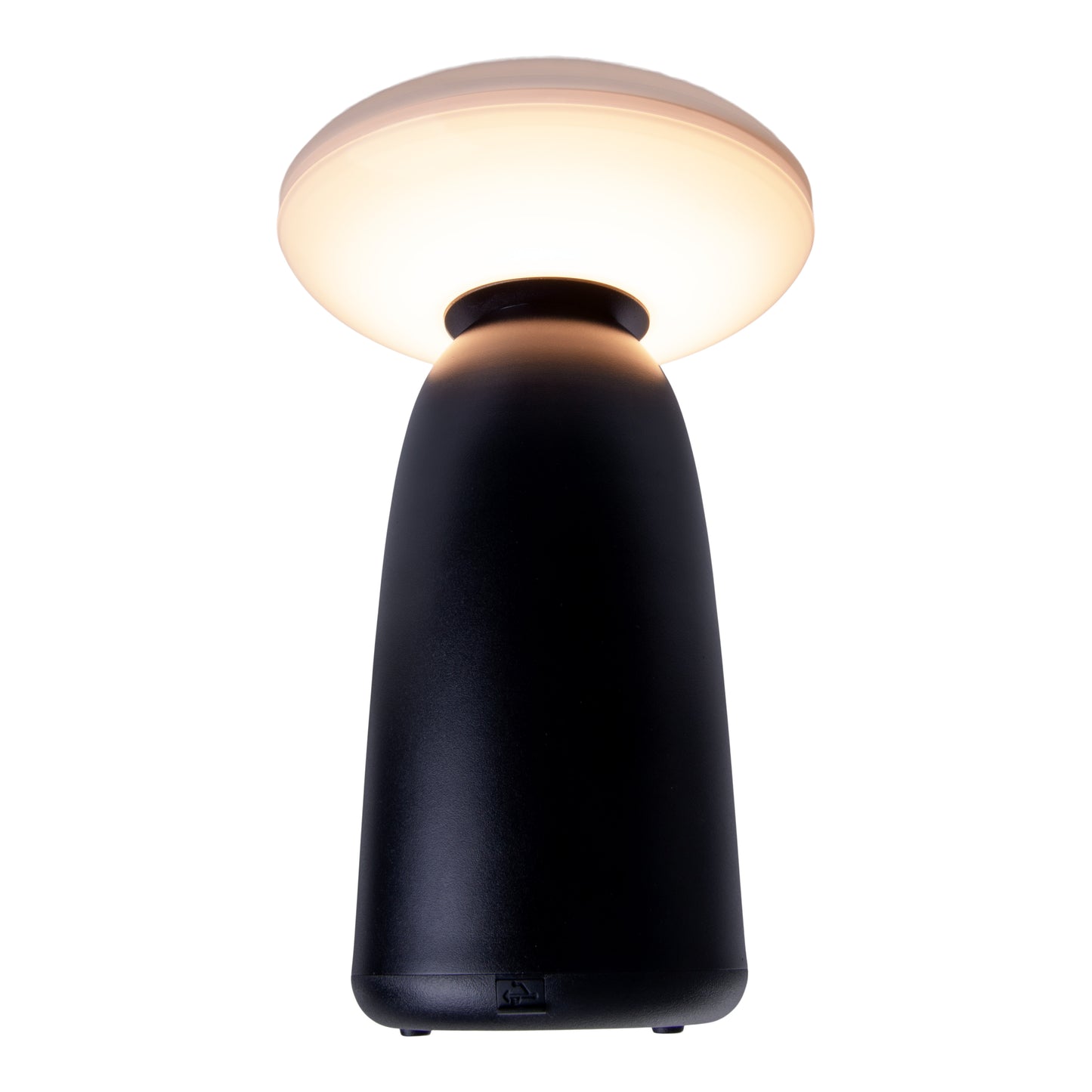 LED Solarleuchte "ADA" schwarz