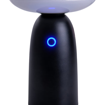 LED Solarleuchte "ADA" schwarz