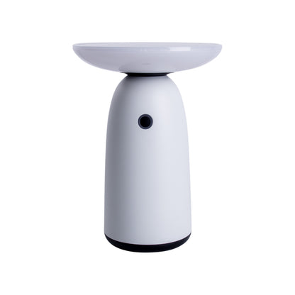 LED Solarleuchte "ADA" H: 22,5cm weiß