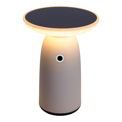 LED Solarleuchte "ADA" H: 22,5cm weiß