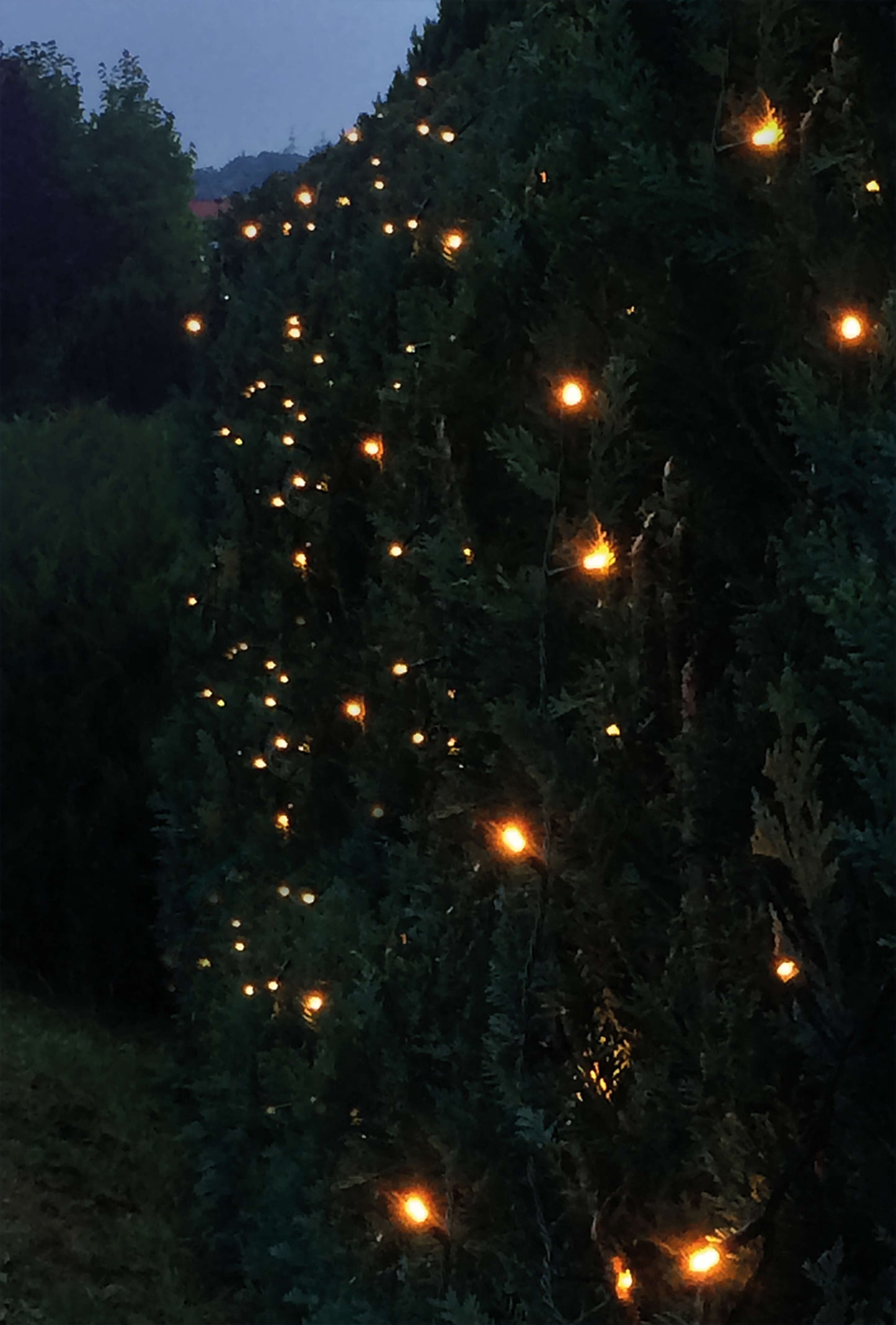LED-Lichterkette - 1600 cm lang, im Modern Style, aus Kunststoff, grün, 200 LED  für den Außenbereich  Netzbetrieb