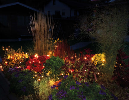 LED-Lichterkette - 1600 cm lang, im Modern Style, aus Kunststoff, grün, 200 LED  für den Außenbereich  Netzbetrieb