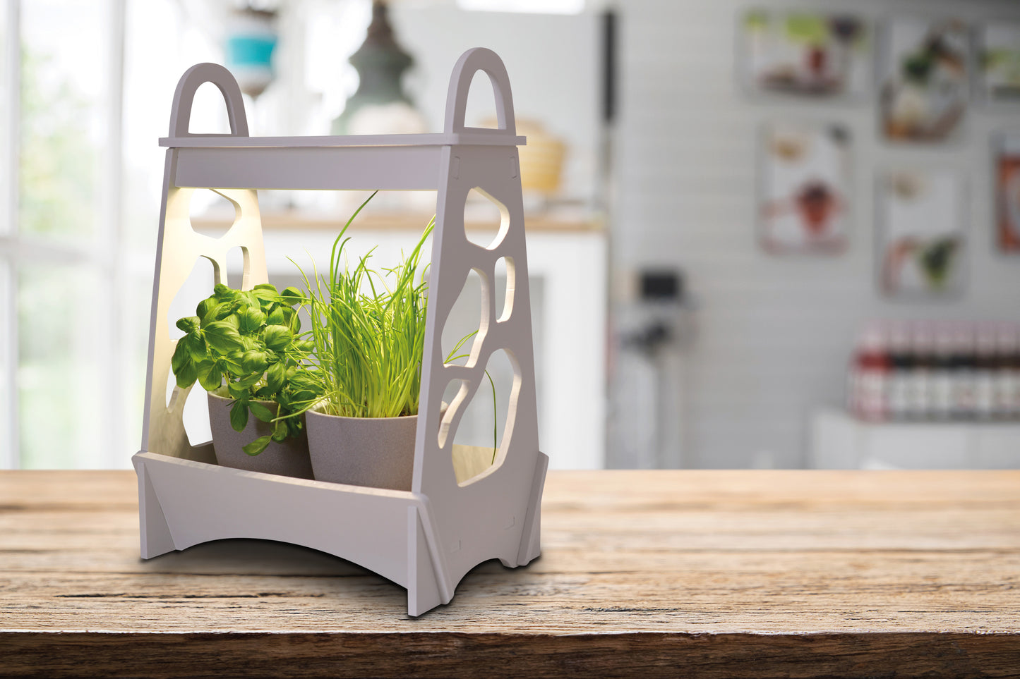LED-Mini-Garten h: 50cm weiß "GARDEN"